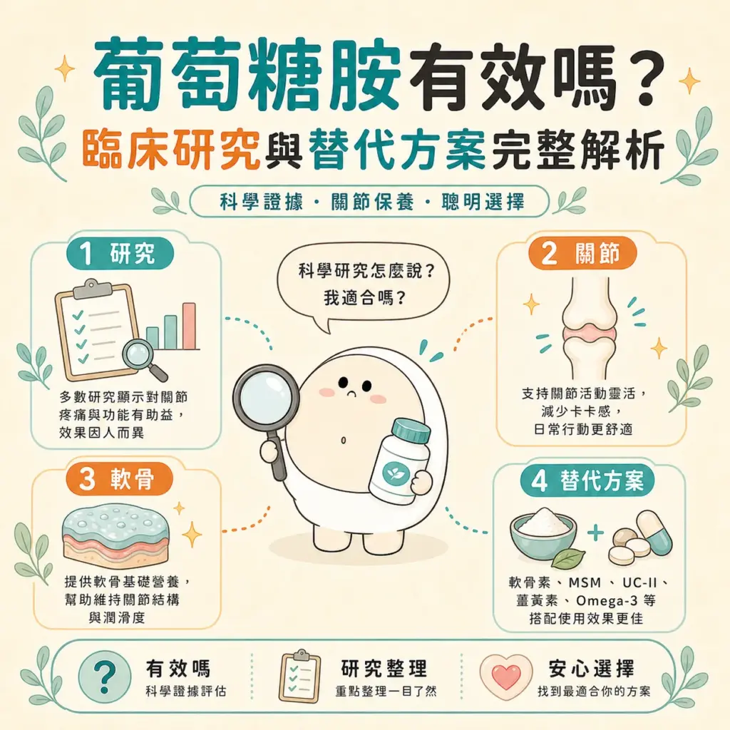葡萄糖胺 完整指南