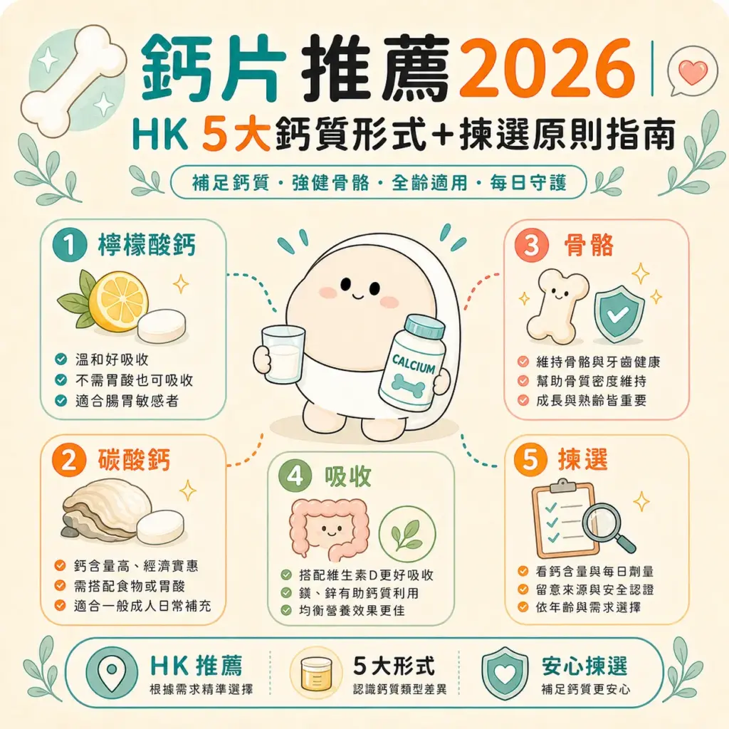 鈣片推薦 完整指南