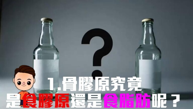 骨膠原究竟是食膠原還是食脂肪呢？分別在那裏？