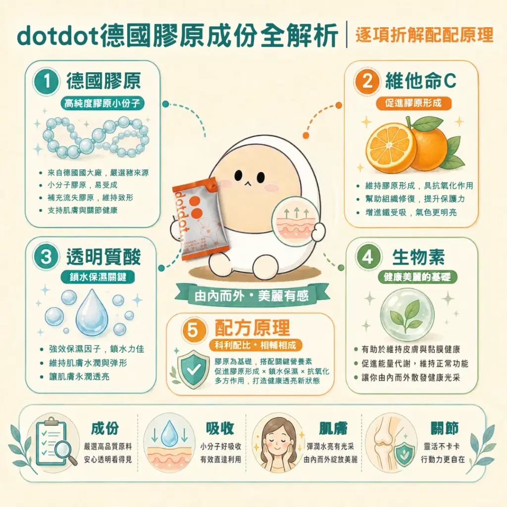 dotdot德國膠原成份全解析|逐項拆解配方原理